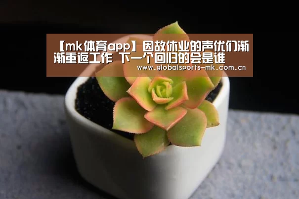 mk体育app