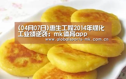 (04月07日)惠生工程2014年煤化工业绩逆袭:mk体育app(图2) mk体育app